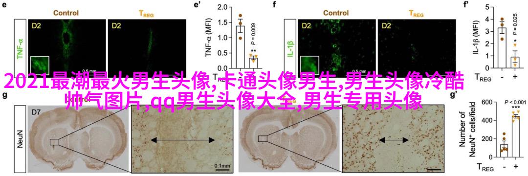 帅到炸裂的氛围感男生好看头像(共18张)